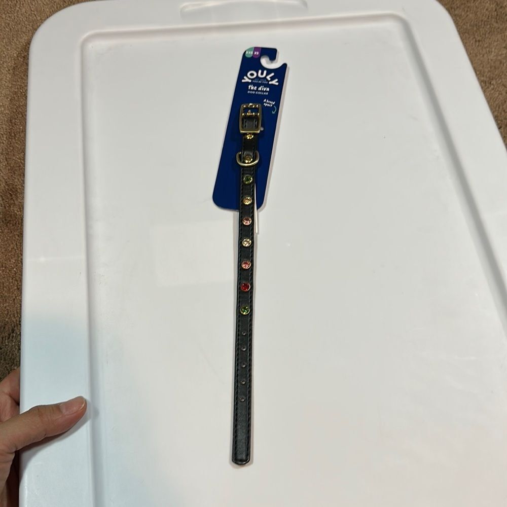Small dog collar colored stones